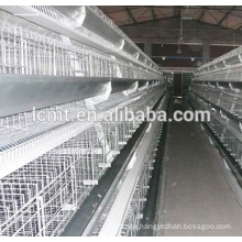 Best sale broilers chicken cage for sale